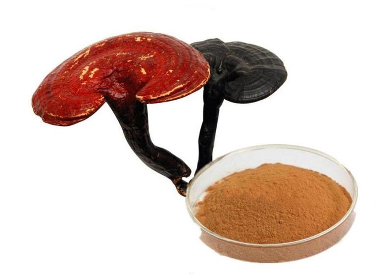 Reishi seeneekstrakti kapslid Prostamin Forte