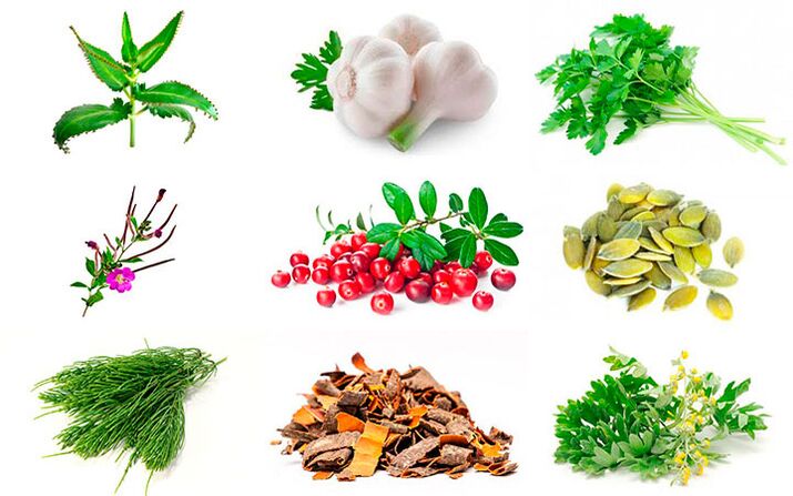 Rahvapärased abinõud prostatiidi raviks