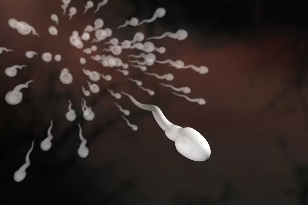 spermatosoidid ja nende muutused prostatiidi korral